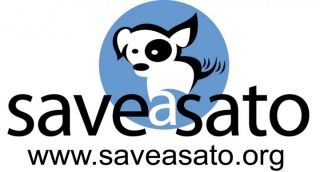 pet adoption places in san juan Save A Sato Non Profit Organization