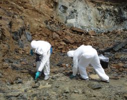 asbestos removal san juan Family Environmental International (FEC)