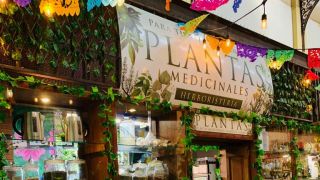 herbolarios en san juan Plantas Medicinales en Puerto Rico
