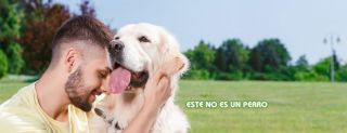 clinicas veterinarias en san juan Hospital de Animales Villa Caparra