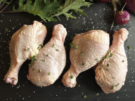 Pollo Pastured Poultry